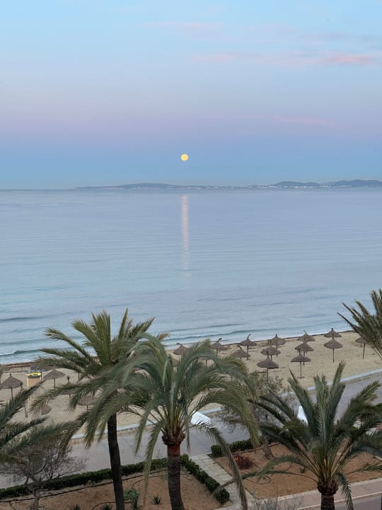 Ausblick Myseahouse Flamingo - Adults only