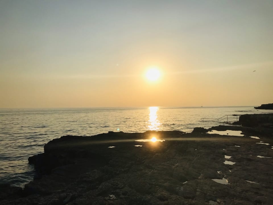 Strand Valamar Tamaris Resort - Casa Palma