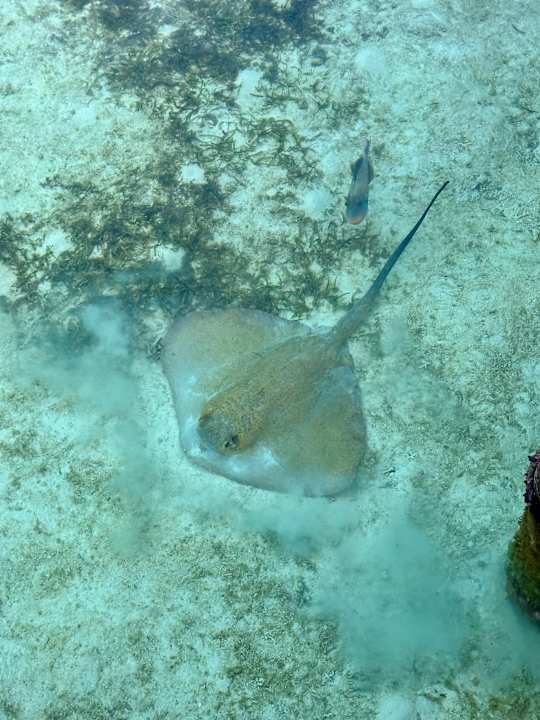 Außenansicht Le Meridien Maldives Resort & Spa