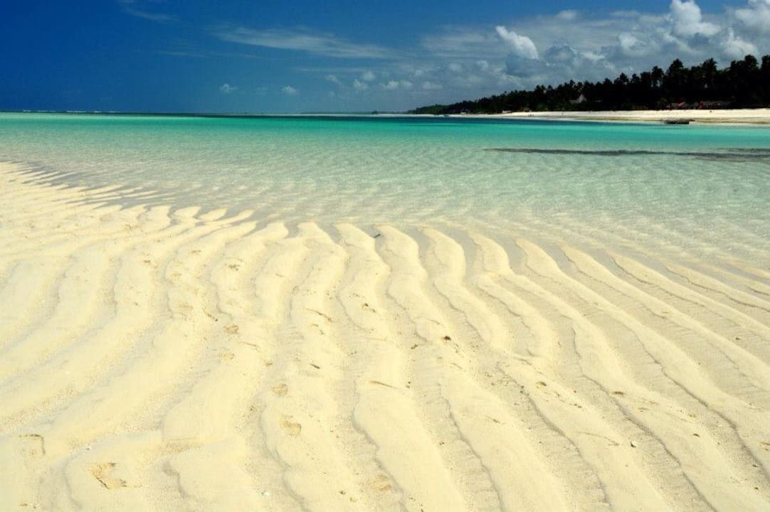 Ausblick vom Riff  Neptune Pwani Beach Resort & Spa