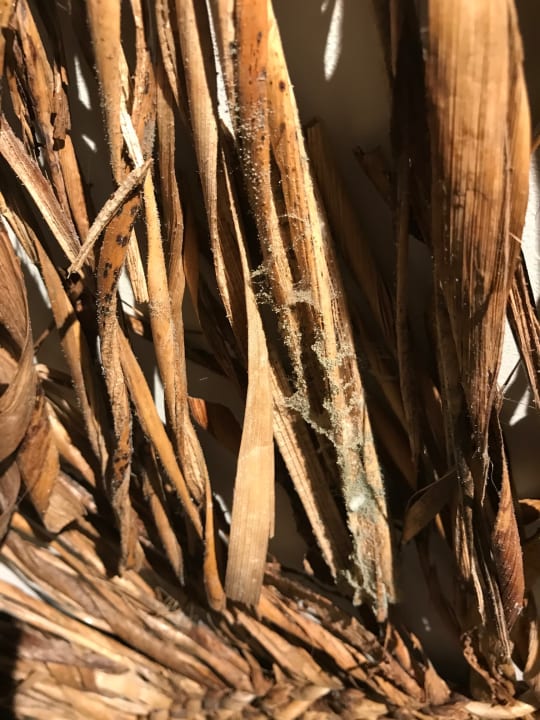 Zimmer Lopesan Costa Bávaro Resort, Spa & Casino