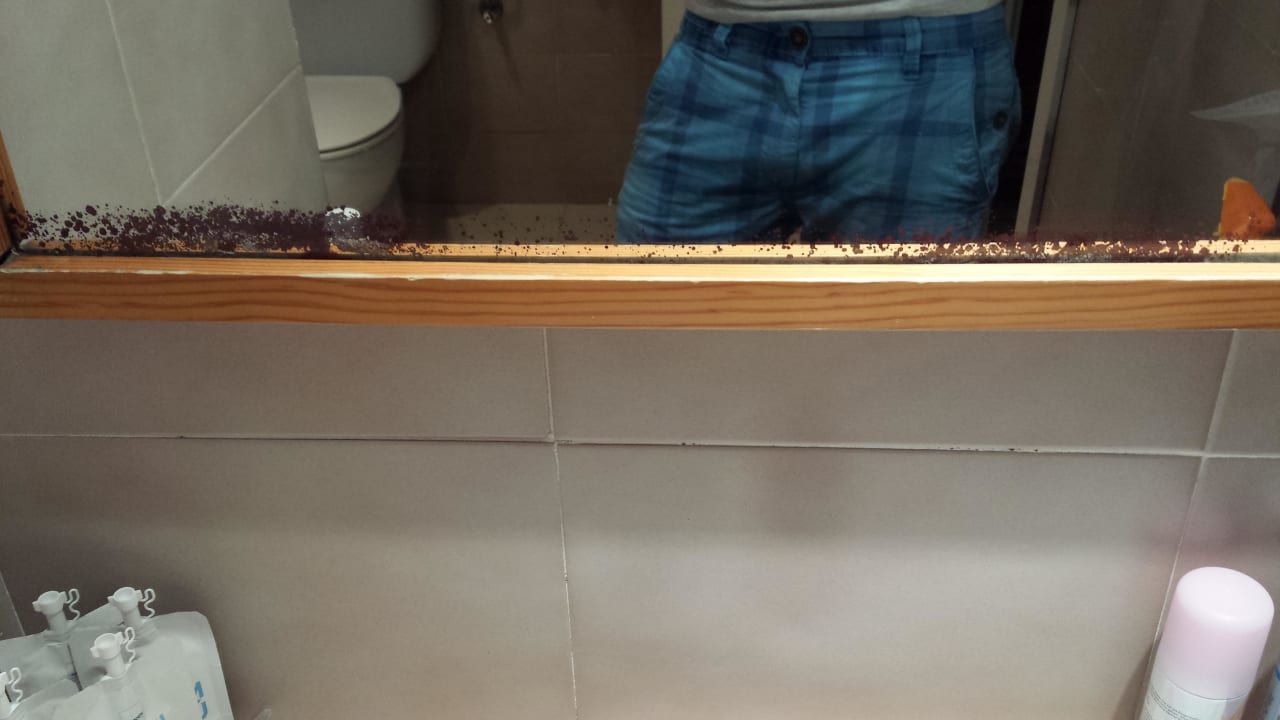 Nicht schön Alcudia Garden Aparthotel