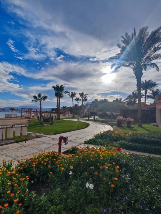 Strand Shams Prestige Abu Soma-Adults Only