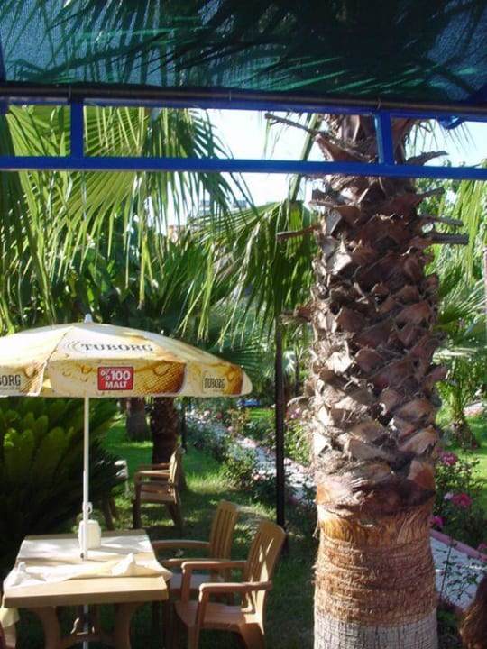 Restauracja Hotel Özgürhan