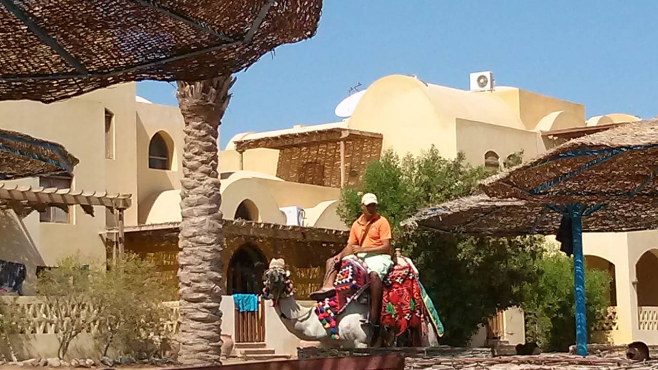 Hotel - Kamel Three Corners Rihana Resort Deluxe