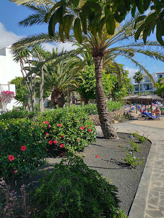 Außenansicht allsun App.-Hotel Albatros