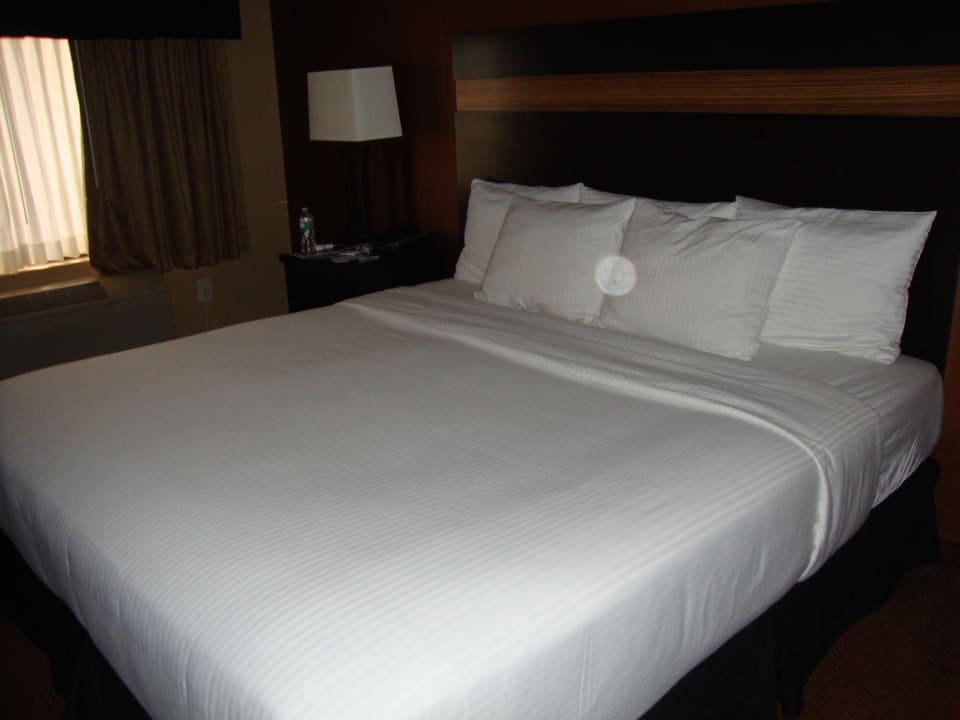 Doppelzimmer Best Western Hotel Newark Airport West