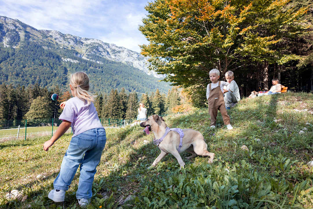 Sport & Freizeit Narzissendorf Zloam - Grundlsee