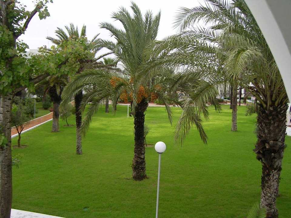 Gartenanlage El Mehdi Beach Resort