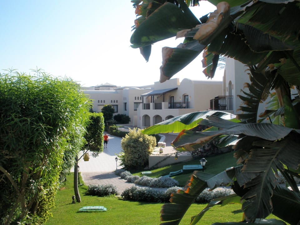 Pohled na zahradu JAZ Belvedere Resort