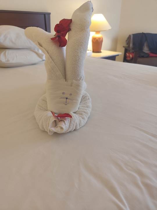 Zimmer Casa Mare Resort