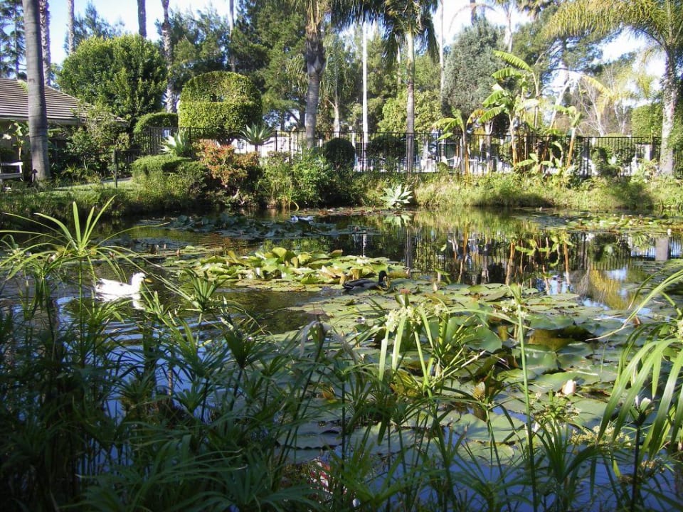 Tropischer Garten mit Lagune Hotel Ramada Limited Santa Barbara
