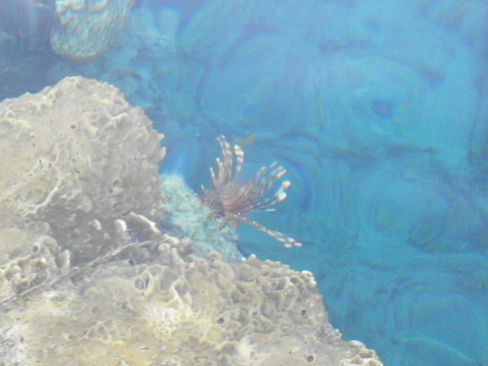 Noch schöner Sharm Plaza