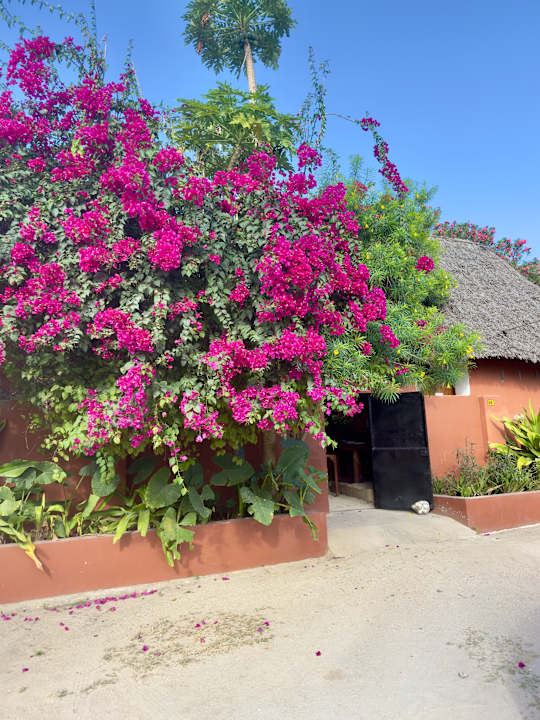 Außenansicht Shanuo Beach Bungalows