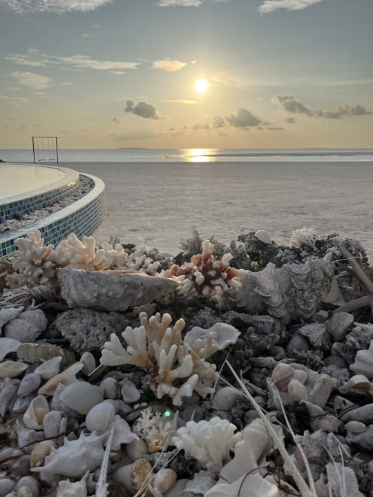 Strand Hondaafushi Island Resort