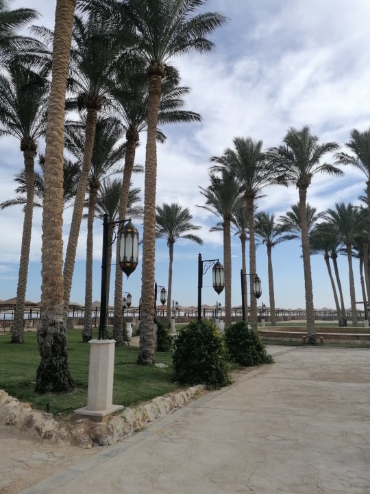 Gartenanlage Grand Makadi