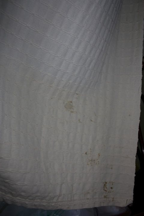 Vorhang am Fenster Hotel Coral Island Resort