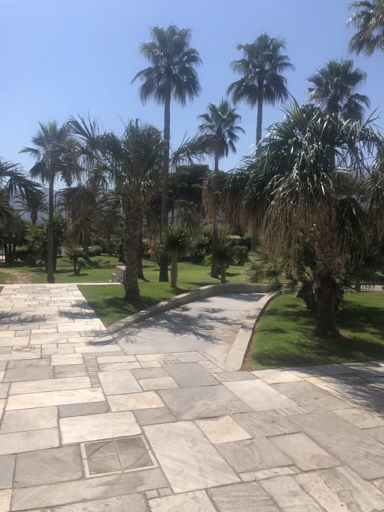 Gartenanlage Calimera Sirens Beach