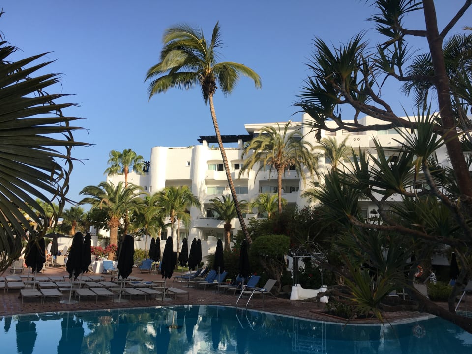 Pool Dreams Jardín Tropical