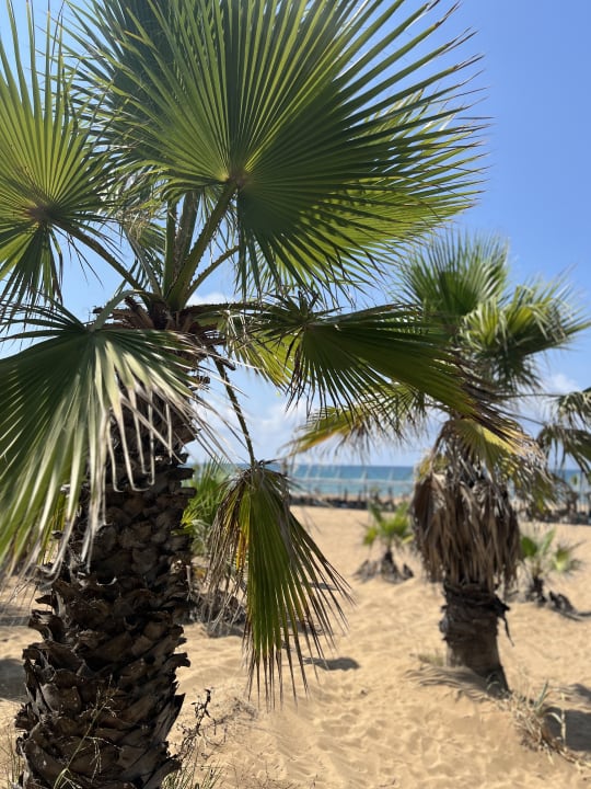 Strand Club Grand Side