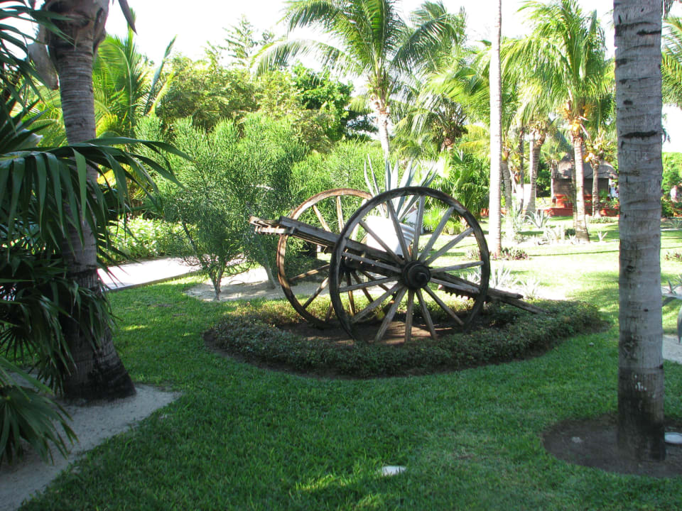 Gartendeko Catalonia Playa Maroma