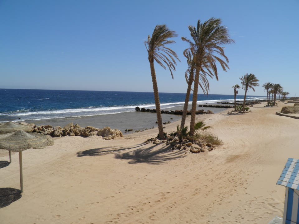 Ärgerlich ohne Steg Pickalbatros Citadel Resort