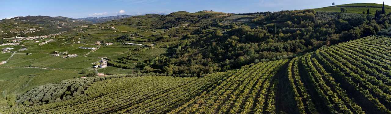 Außenansicht BIOAGRITURISMO FALEZZE di Luca Anselmi