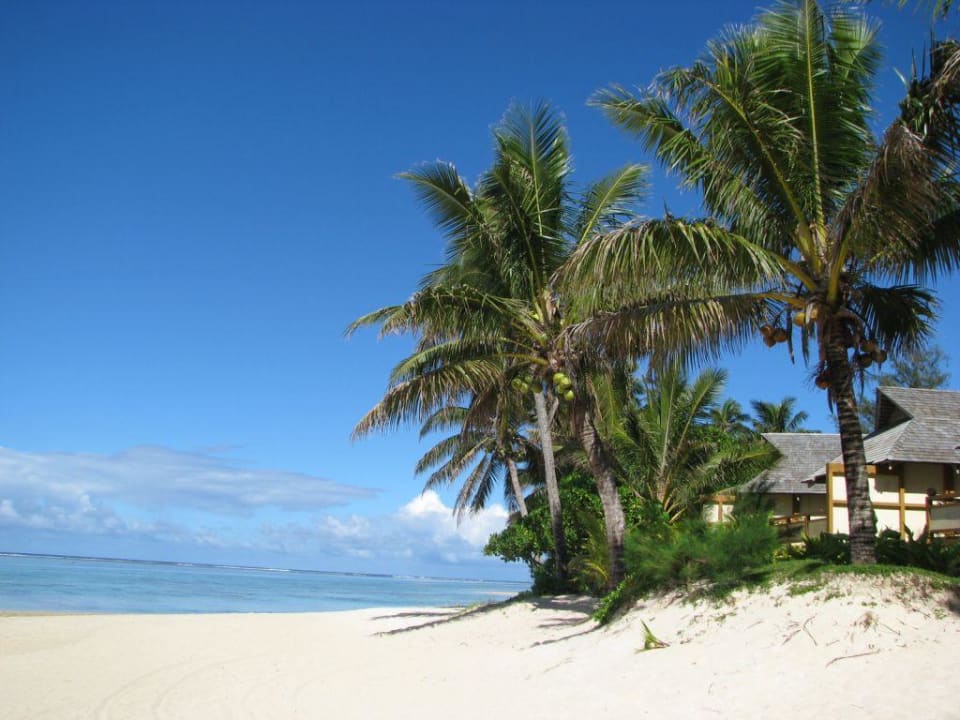 Hotel-Strand Palm Grove Resort