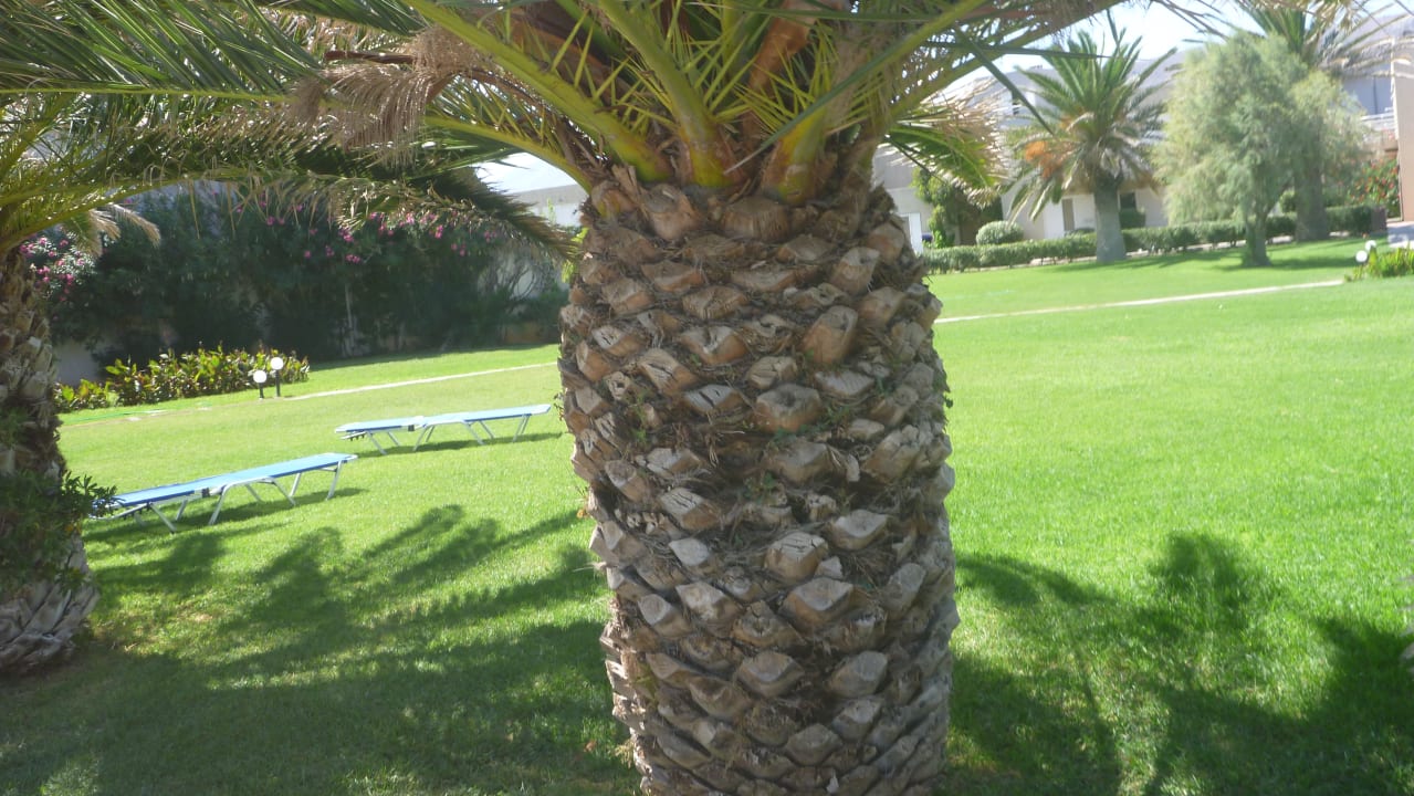 Gartenanlage Santa Marina Beach