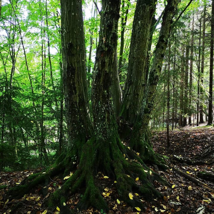 Sonstiges Seminarzentrum Kloster Pernegg