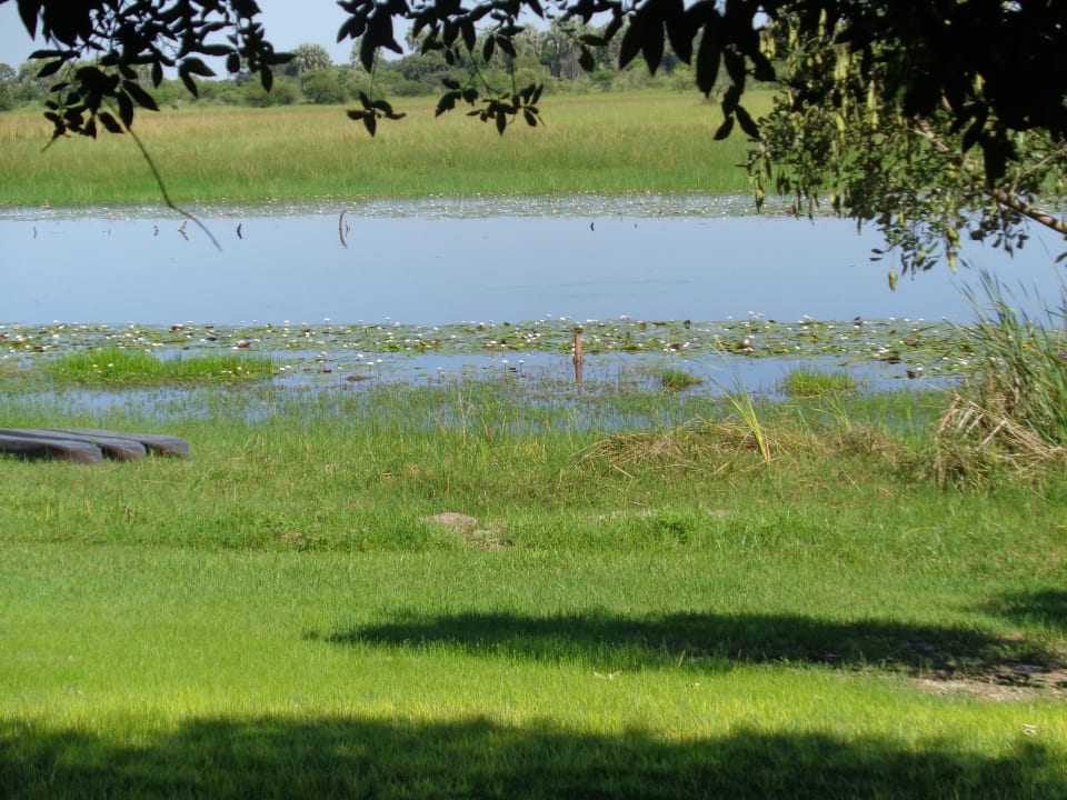 Ausblick Thamalakane River Lodge