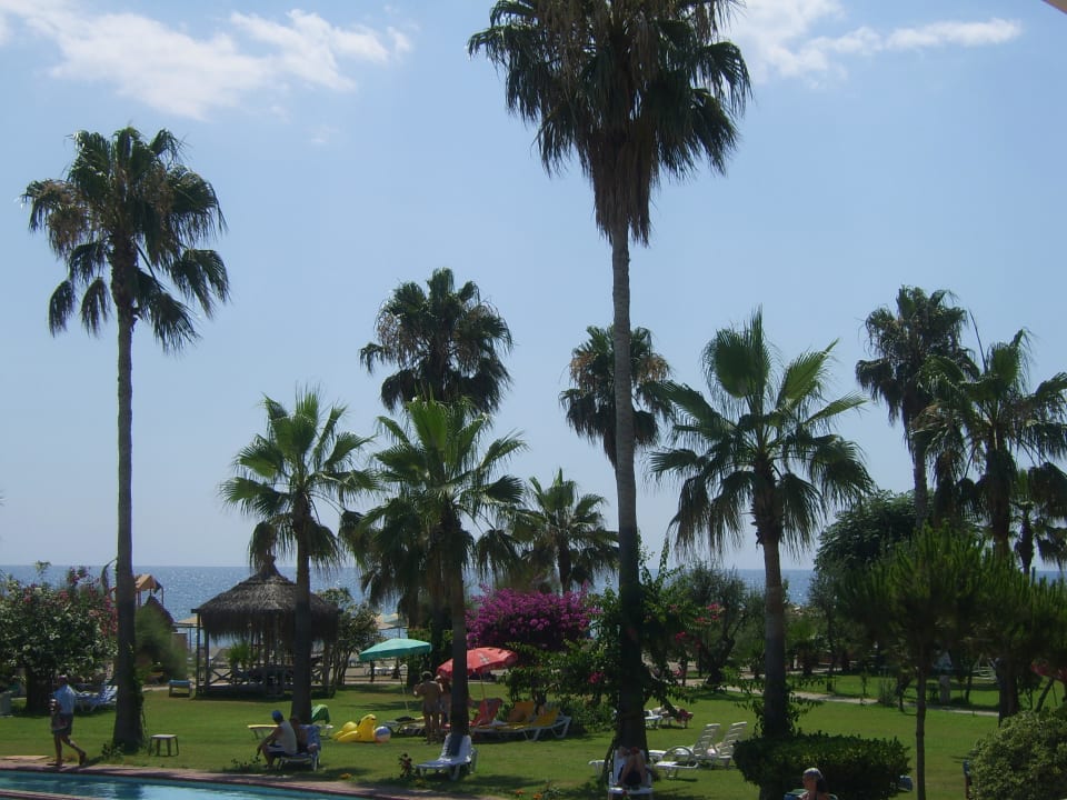 Вот такие они разные  MC Beach Park Resort Hotel