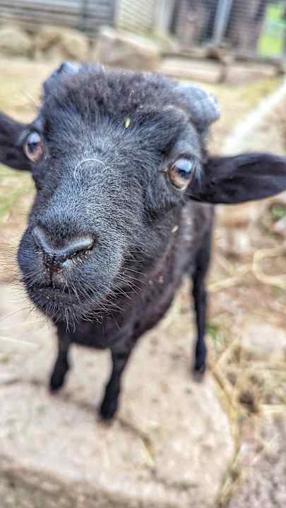 Gartenanlage Kinder &-Familienhotel Schlüchtmühle