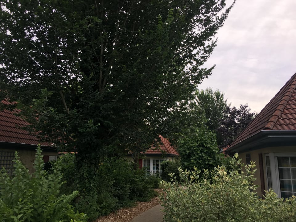 Sonstiges Center Parcs Park Nordseeküste