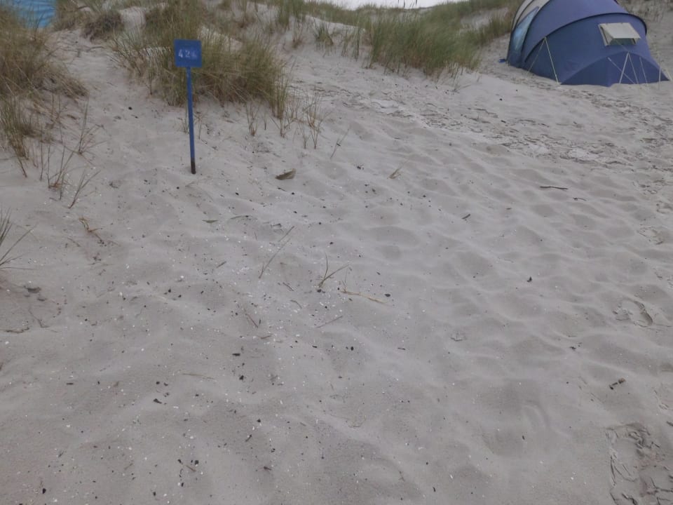 Sonstiges Regenbogen Ferienanlage Prerow