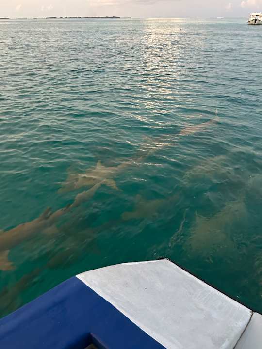 Sonstiges Cinnamon Hakuraa Huraa Maldives