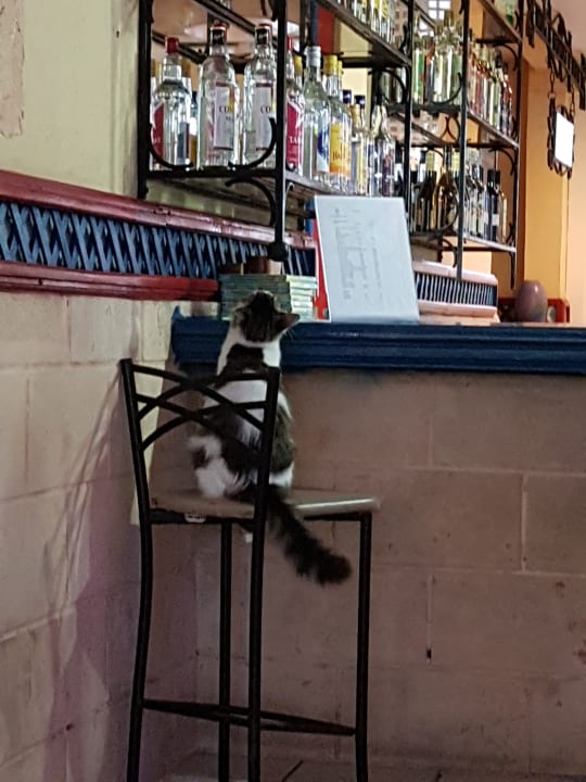 Gastro Hotel Roc Barlovento