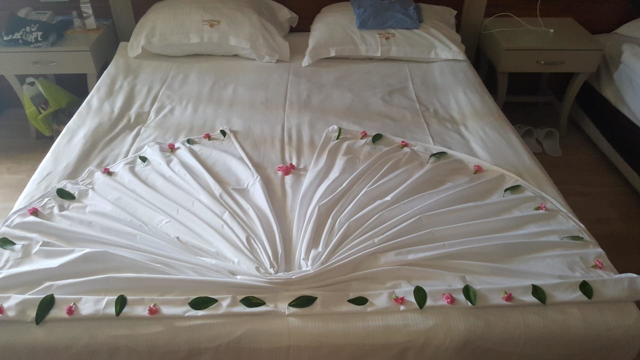 Zimmerdeko  Well Palace Side