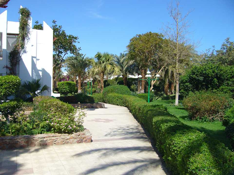 Ogród Menaville Safaga