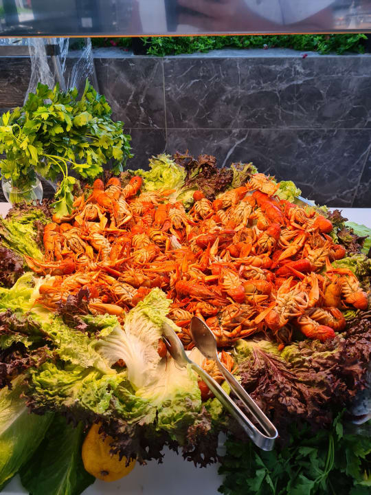 Gastro Monachus Family Resort Sorgun