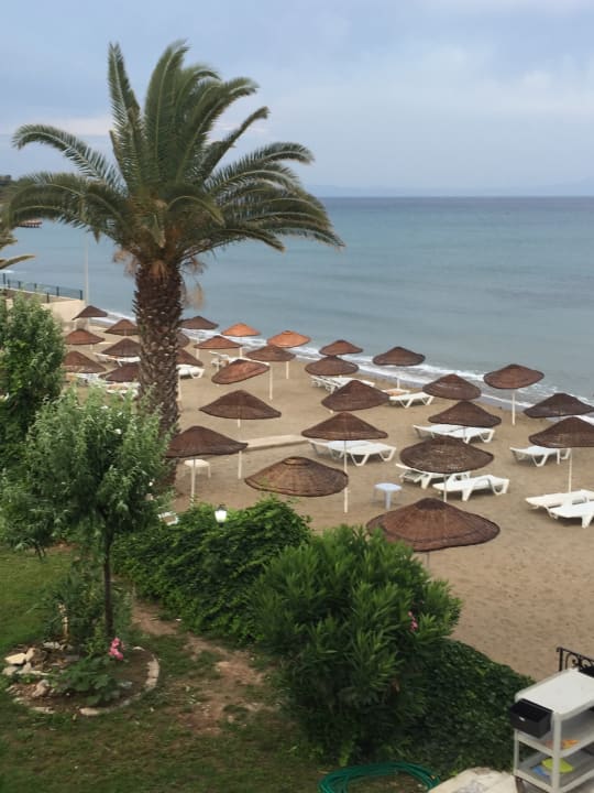 Blick von unserem Balkon  Dogan Paradise Beach