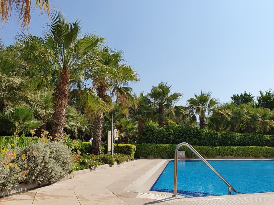 Pool Side Breeze Hotel