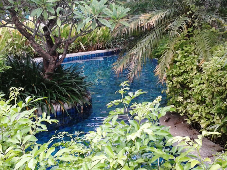 ... nur schön.... Kata Palm Resort & Spa