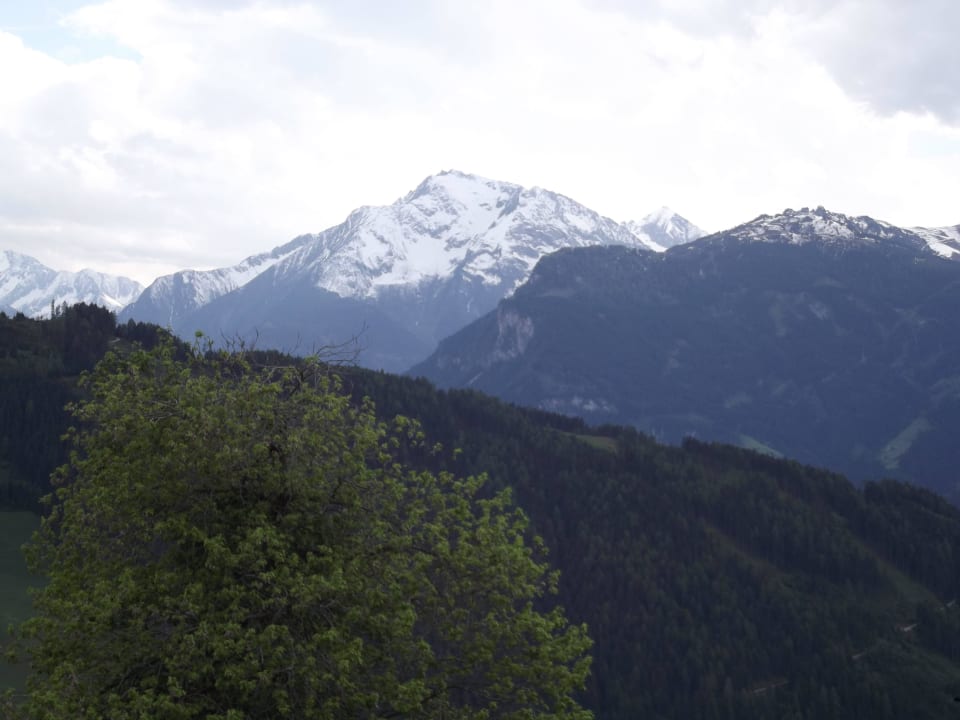 Blick vom Hotelzimmer Alpengasthof Enzianhof