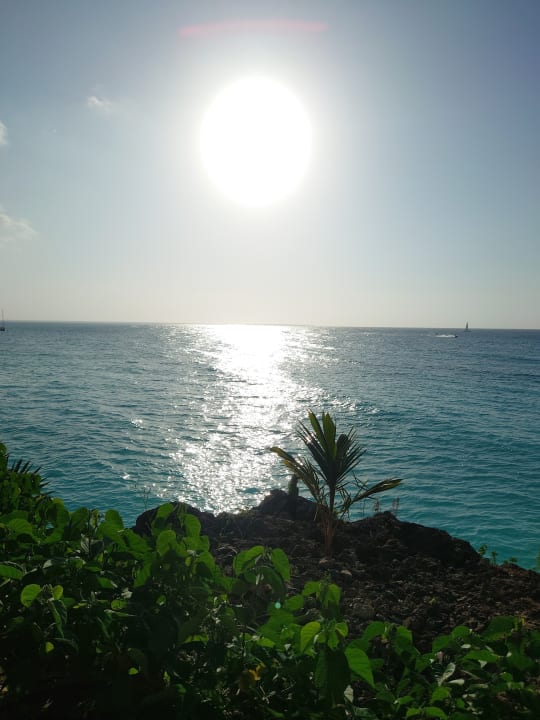 Ausblick Hotel Riu Palace Zanzibar