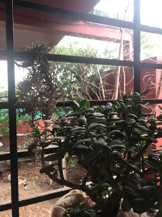 Gartenanlage Gästehaus Katanka