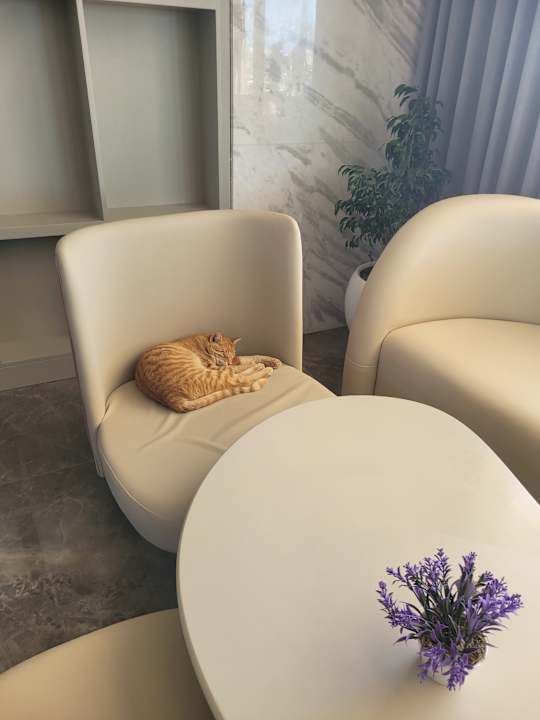 Lobby Dream Fun World