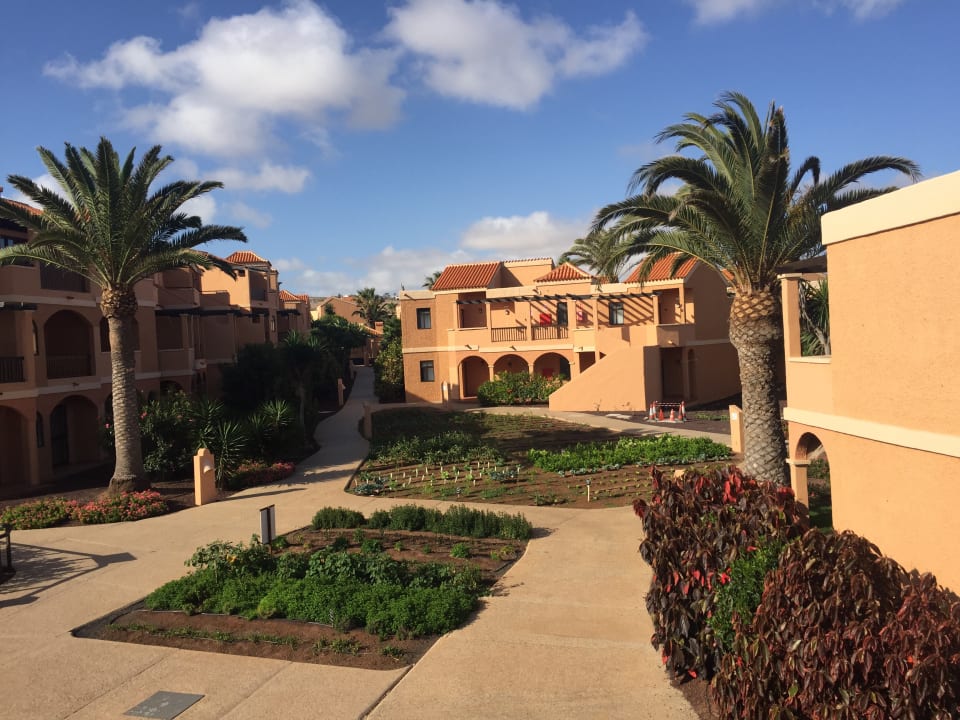 Ausblick Bakour Fuerteventura La Pared