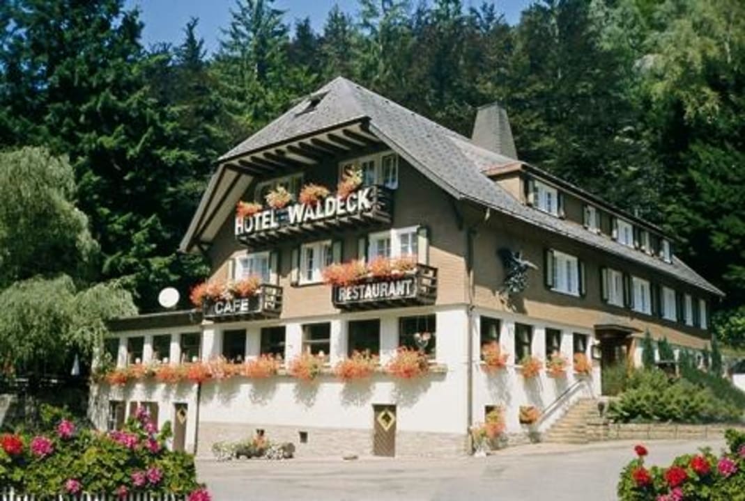 Hotel Hotel Waldeck