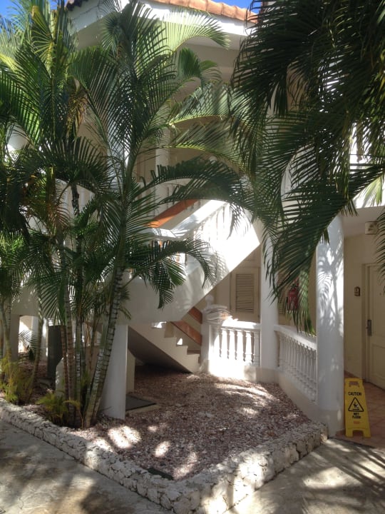 Cofresi Palm Beach & Spa Resort Cofresi Palm Beach & Spa Resort